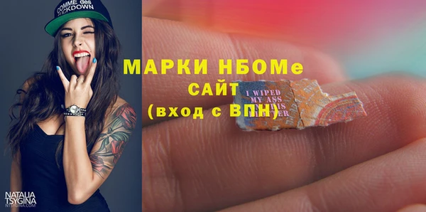apvp Бородино