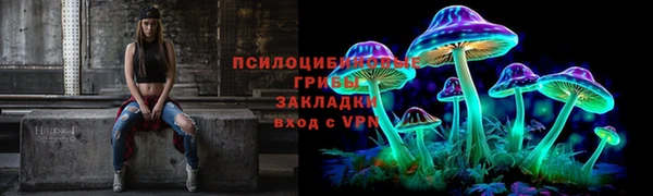 apvp Бородино