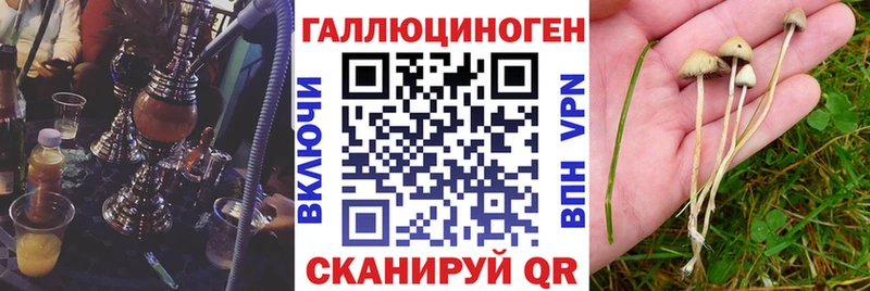 Галлюциногенные грибы мицелий  Дятьково 