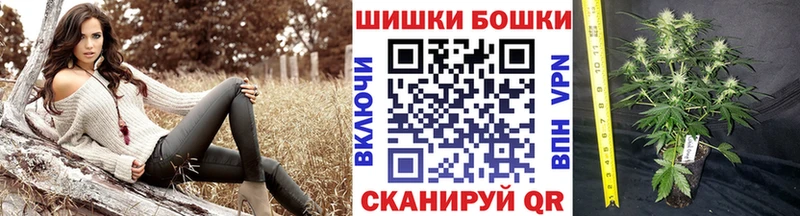 купить наркотики сайты  Дятьково  Бошки Шишки Bruce Banner 